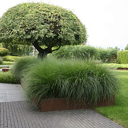 Borderpaneel Flex 28cm + toebehoren 220x28x3.5cm (LxHxB) Corten