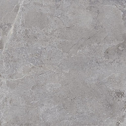 Keramische tegel Evolution 60x60x2cm Grey