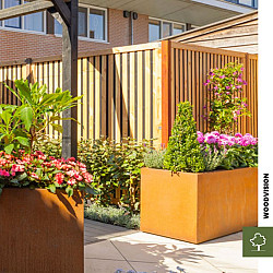 Douglas geschaafd rhombus plankenscherm met zwarte binnenkant, 180x180cm zwart/onbehandeld