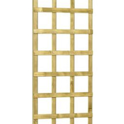 Grenen Trellis robuust 60x180cm groen geïmpregneerd