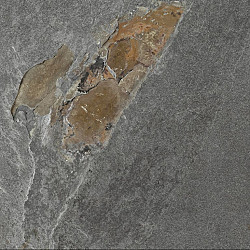 Keramische tegel HK Primeline Laziano Antra 40x80x3cm