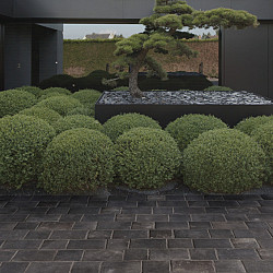 Keramische tegel Kronos Block 20x20x2cm Namur