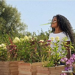 Bloembak vierkant 45x60x60cm (HxBxD)