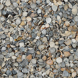 Schelpen 8-16mm 17ltr