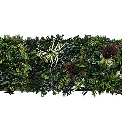 Aslon® Green Wall 50 x 50 cm Element Botanic C