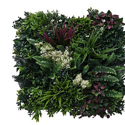 Aslon® Green Wall 50 x 50 cm Element Botanic C