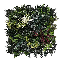 Aslon® Green Wall 50 x 50 cm Element Botanic B