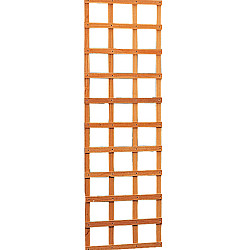 Hardhouten trellis rechthoek 56 x 180 cm.