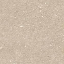 Keramische tegel Douglas Jones Outdoor Elite 120x120x2cm Conchiglia