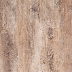 GeoCeramica®2Drive 30x60x6cm Timber Tortera