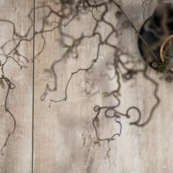 GeoCeramica®2Drive 30x60x6cm Timber Tortera