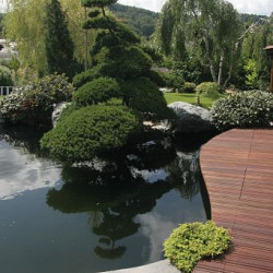 Terrasplank Bangkirai 42x145mm V-groeven Premium P500 | 396cm | FSC®100%