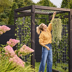 Grenen geschaafde Paal 8,8x8,8x270cm zonder diamantkop geïmpregneerd en zwart gedompeld