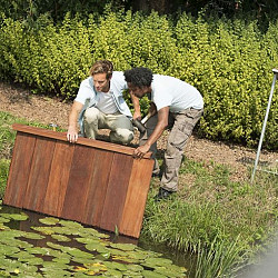 Hardhouten Azobé  geschaafde damwand 3,0x20,0x250cm (werkend 18,5 cm).