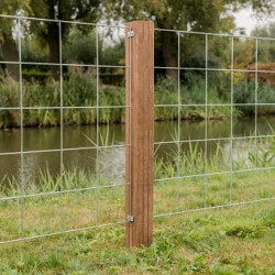 Hardhouten Azobé Paal geschaafd met V-groef gepunt 6,5x6,5x200cm