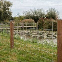 Hardhouten Azobé Paal geschaafd met V-groef gepunt 8,5x8,5x300cm