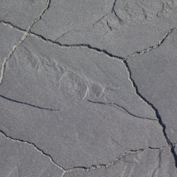 GeoArdesia Alivo cannobio (6 cm)