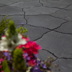 GeoArdesia Alivo milano (6 cm)