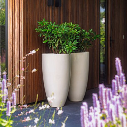 CANNA Ø1000x950mm Polyester (PC5)