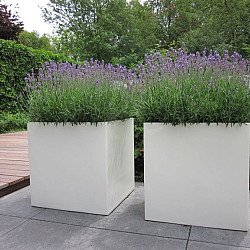 Carrez MET WIELEN 1500x500x600mm Polyester (PBWL22.1)