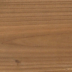 Veranda Excellent 600 Douglas 612x410cm dakplaten opaal groen geïmpregneerd