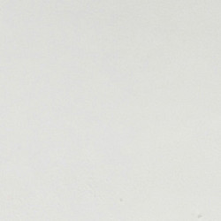 Veranda Excellent 700 Vuren 712x310cm dakplaten helder wit gespoten