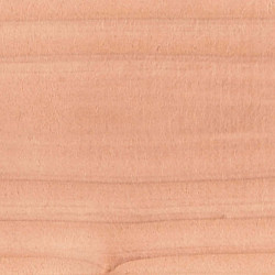 Veranda Excellent 600 Douglas 612x360cm dakplaten opaal onbehandeld