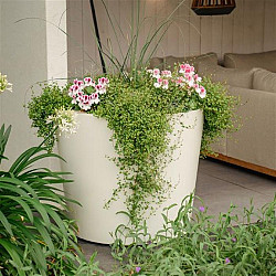 Conic Ø1200x800mm Polyester (PE1)
