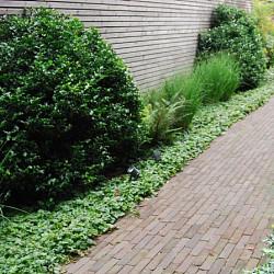 Gebakken waalformaat 6 cm Woubrugge getrommeld