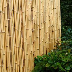 Bamboescherm op rol 180x180cm gelakt