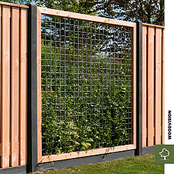 Douglas geschaafd plankenscherm 21-planks 16mm 180x180cm tbv betonsysteem onbehandeld