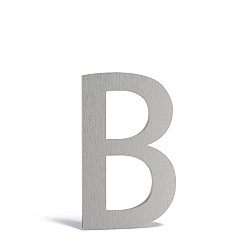 Huisletter 62x5x90mm RVS 5mm (B RVS)