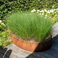 ELLIPSE zonder bodem 1200x800x600mm Corten (CELW5)