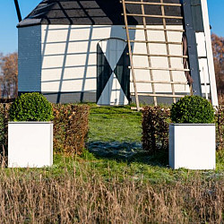 Domus 700x700x600mm Aluminium (DOA3)