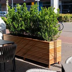 Malaga Rhombus 1500x500x650mm Hardhout 21mm (HRS22.1)