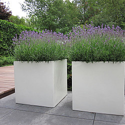 Carrez 800x800x400mm Polyester (PB6.3)