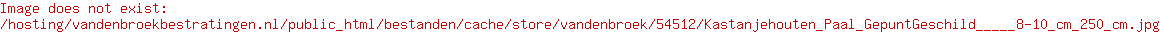 Kastanjehouten Paal Gepunt/Geschild  Ø 8-10 cm 250 cm