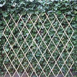 Harmonica Bamboe Trellis 180x180cm