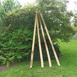 Bamboepaal 300cm Ø10-12cm
