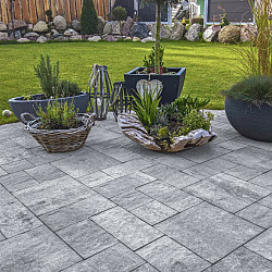 Everton Camelot paving wave Wildverband XL 8 cm Gothic