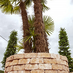 Promo Wall 24/17x15x10cm Mont Blanc