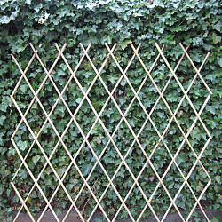 Harmonica Bamboe Trellis 180x180cm