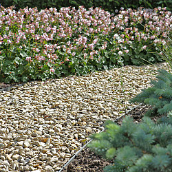 Castle Beige grind | 10-20mm | 500 kg/miniBB