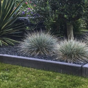 <p><strong>Kantopsluiting en banden: strak, stabiel en onmisbaar in elke tuin</strong></p>

<p>Kantopsluitingen en banden vormen de basis van een strakke en duurzame tuin. Ze zorgen ervoor dat bestrating netjes op zijn plaats blijft, voorkomen verzakkingen en geven uw tuin een verzorgde en professionele uitstraling.</p>

<p><strong>Beton &eacute;n metaal: voor elke tuin een passende stijl</strong></p>

<p>Naast de bekende betonnen kantopsluitingen en banden is metalen kantopsluiting een populaire tuintrend. In ons assortiment vindt u hoogwaardige metalen kantopsluitingen van verzinkt staal en cortenstaal.</p>

<ul>
	<li>Verzinkt staal zorgt voor een moderne, strakke en tijdloze uitstraling</li>
	<li>Cortenstaal geeft uw tuin een warme, robuuste en natuurlijke look</li>
</ul>

<p>Metalen kantopsluiting is uitermate geschikt voor het strak afwerken van gazons, borders, grindpaden en hoogteverschillen en combineert perfect met zowel moderne als natuurlijke tuinstijlen.</p>

<p><strong>Functioneel &eacute;n esthetisch</strong></p>

<p>Of u nu kiest voor beton of metaal: kantopsluitingen zijn onmisbaar voor een duurzaam resultaat. Ze zorgen voor een duidelijke scheiding tussen bestrating, gazon en beplanting &eacute;n dragen bij aan een strak en verzorgd totaalbeeld van uw tuin.</p>

<p><strong>Laat u inspireren in onze showtuin</strong></p>

<p>Wilt u de verschillende mogelijkheden in het echt bekijken? Bezoek dan onze prachtig aangelegde showtuin. Hier ziet u zowel betonnen als metalen kantopsluitingen toegepast in diverse tuinopstellingen. Zo kunt u materialen, kleuren en stijlen goed vergelijken en een weloverwogen keuze maken.</p>

<p><strong>Levering &eacute;n vakkundige aanleg</strong></p>

<p>Wij verzorgen niet alleen de levering van kantopsluitingen en banden, maar kunnen ook de complete aanleg voor u uitvoeren. Onze ervaren stratenmakers zorgen voor een perfecte plaatsing, zodat uw tuin jarenlang strak en stabiel blijft. Vraag gerust vrijblijvend een offerte aan voor levering en/of aanleg.</p>

<p><strong>Visualiseer uw tuin met de Redsun Garden Planner</strong></p>

<p>Met de gratis Garden Planner van Redsun krijgt u direct inzicht in hoe kantopsluitingen en banden &ndash; zowel beton als metaal &ndash; passen binnen uw tuinontwerp. U heeft geen technische kennis of speciale software nodig: een foto van uw tuin is voldoende. Het oog wil immers ook wat!</p>

<p><strong><a href="https://redsun.eu/tuinplanner/">KLIK HIER VOOR DE REDSUN TUINPLANNER</a></strong></p>

<p>&nbsp;</p>
