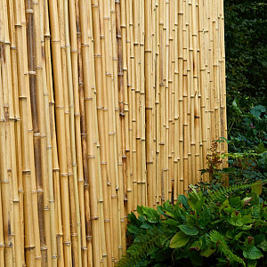 <p><strong>Voor iedereen de juiste tuinafscheiding </strong><br />
Afscheidingen in de tuin zijn op dit moment erg belangrijk. Werd er vroeger een coniferenhaag geplaatst die dan na jaren dichtgegroeid was, tegenwoordig moet i.v.m. privacy en ruimte de afscheiding snel en effici&euml;nt dicht zijn. Een natuurlijke afscheiding voldoet aan die eisen. Met o.a heidematten, boomschorsmatten, rietmatten, verschillende soorten bamboeschermen enz. &nbsp;</p>

<p><em>Natuurlijke tuinafscheidingen: Goed, milieuvriendelijk en mooi</em></p>

<p><strong>Tip:</strong> Met een natuurlijke tuinafscheiding kunt u uw tuin ook "opdelen" om spanning en leuke effecten te cre&euml;ren.&nbsp;</p>
