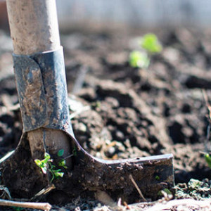 2686 19500   gereedschappen 57774