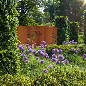 <p><strong>Sfeervolle panelen van Adezz &ndash; decoratief & functioneel</strong></p>

<p>Met de gelaserde sfeerpanelen van Adezz geef je structuur aan je tuin &eacute;n cre&euml;er je stijlvolle, afgeschermde ruimtes. Deze decoratieve panelen zijn echte blikvangers en zorgen voor een unieke sfeer en extra privacy.</p>

<p>💡 <strong>Tip:</strong> Plaats een led-spot achter het paneel voor een sfeervol lichteffect in de avond!</p>

<p><em><strong>Waarom kiezen voor Adezz panelen?</strong></em></p>

<ul>
	<li>
	<p>Keuze uit een groot aantal decoratieve patronen</p>
	</li>
	<li>
	<p>Stabiele panelen dankzij gezette randen en dubbel omgezette zijkanten</p>
	</li>
	<li>
	<p>Strakke afwerking met afgeronde randen en stevig kader</p>
	</li>
	<li>
	<p>Uniek koppelsysteem voor eenvoudige montage</p>
	</li>
</ul>

<p><em><strong>Maten & materialen</strong></em></p>

<ul>
	<li>
	<p><strong>Decoratieve panelen met motief:</strong> 1100 x 50 x 1800 mm</p>
	</li>
	<li>
	<p><strong>Basic panelen (zonder motief):</strong> verkrijgbaar in 400, 600, 800, 1100 en 1350 mm breed</p>
	</li>
	<li>
	<p>Leverbaar in <strong>2 mm Cortenstaal</strong> of <strong>2</strong><strong>&nbsp;mm Gecoat Staal&nbsp;</strong>met krasvaste coating</p>
	</li>
</ul>

<p><em><strong>Eenvoudige montage</strong></em></p>

<ul>
	<li>
	<p>Te bevestigen op de vloer, tussen palen of aan een muur</p>
	</li>
	<li>
	<p>T-profielen beschikbaar voor plaatsing in beton (optioneel, meerprijs)</p>
	</li>
	<li>
	<p>Slim ontwerp met goed bereikbare bevestigingspunten</p>
	</li>
</ul>

<p>Maak van je tuin een unieke plek met de stijlvolle panelen van Adezz!</p>
