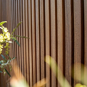 <p>Ben je op zoek naar duurzaam gevelhout of tuinhout zonder onderhoud? Kies dan voor <strong>ThermoVision&reg; Ayous</strong> van <strong>Woodvision</strong>. Dit thermisch gemodificeerde hout wordt behandeld in een stoomoven op hoge temperatuur, zonder toevoeging van chemicali&euml;n. Het resultaat? <strong>Milieuvriendelijk hout</strong> met een lange levensduur, mooie egale kleur en hoge vormstabiliteit.</p>

<p>Perfect geschikt voor <strong>gevelbekleding</strong>, <strong>schuttingen</strong>, <strong>overkappingen</strong> en meer &ndash; zowel horizontaal als verticaal te monteren.</p>
