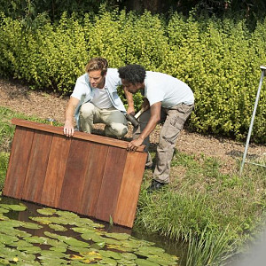 Damwand en beschoeiing