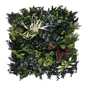 Aslon® Green Wall 50 x 50 cm Element Botanic B